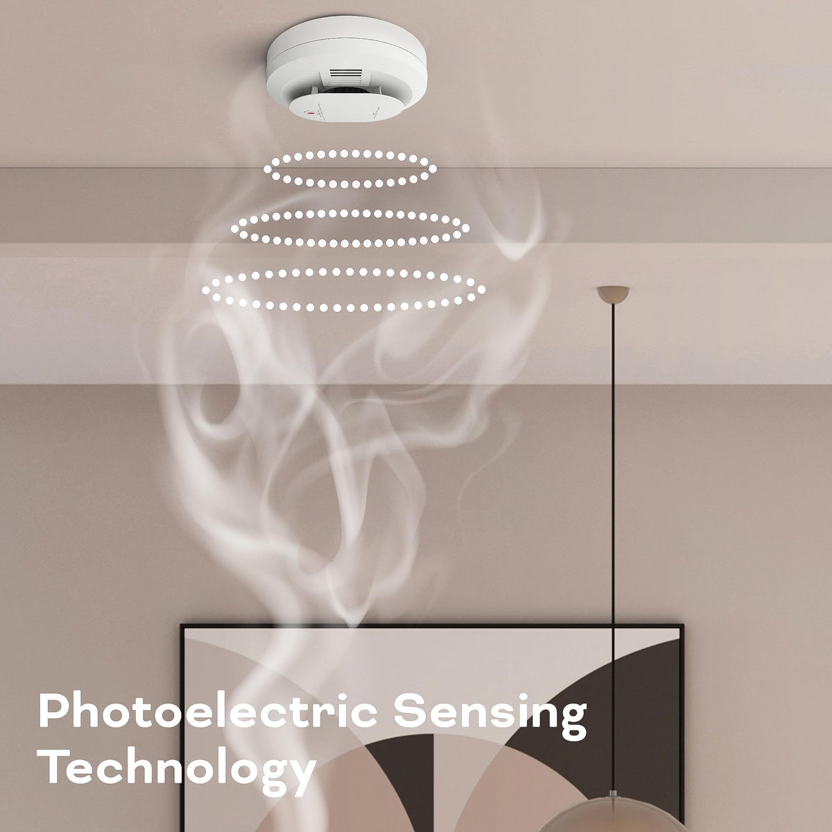 Smoke & Carbon Monoxide Detector, AA Battery Powered L1397
